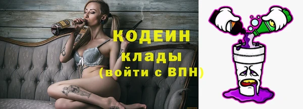 apvp Алзамай
