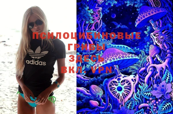 apvp Алзамай