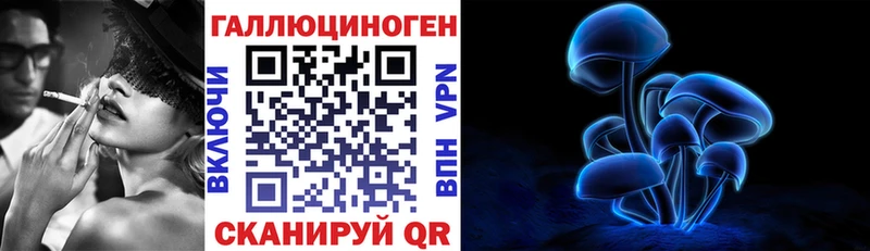 Галлюциногенные грибы Psilocybine cubensis  Далматово 